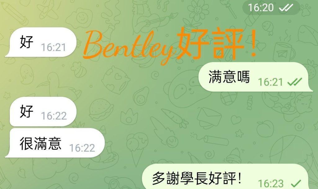 ♏️Bentley♍️  🎀調皮娃娃臉學妹，全身雪白，性格溫柔傾偈舒服