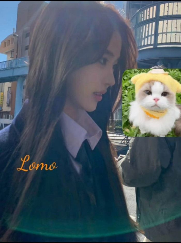 ♏ ️ Lomo ♍ ️   🎀英國高端留學生，大學本科亦係英國畢業👩 ‍ 🎓最美校花